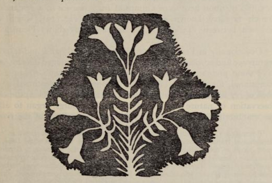 Healing Your Gut and Nervous System: The Role of Digestive Bitters in Gut-Brain Health