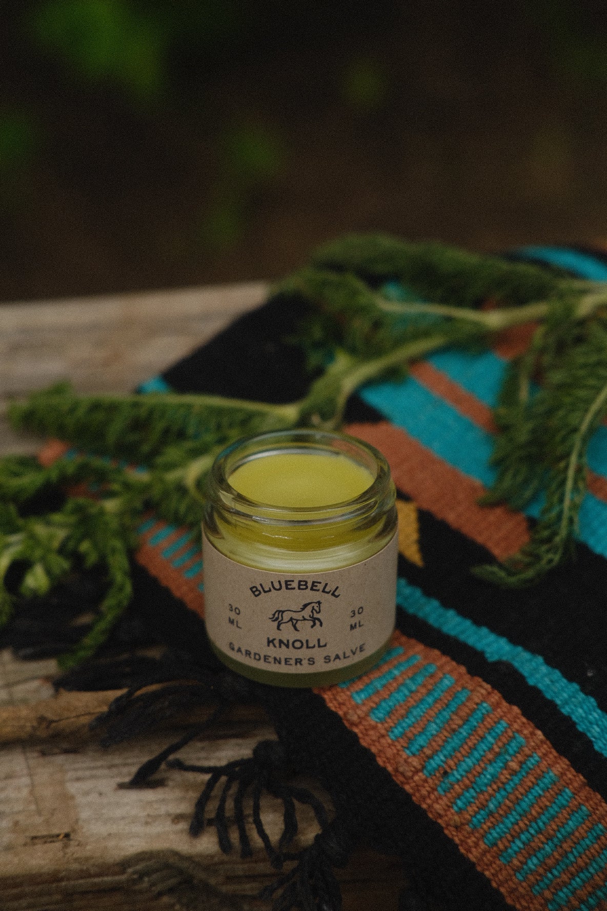 Desert Healer Botanical Resin Salve